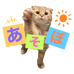 mochi_20201206150624