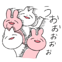 Rabits and Cats