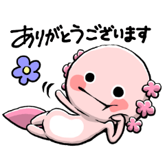 Cute Pink Axolotl