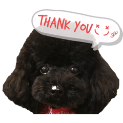 asako_20201206171212