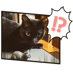 happyhiro_20201206182607