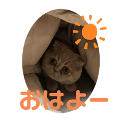 yukari_20201206222602