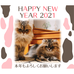 Arisa_20201206221953