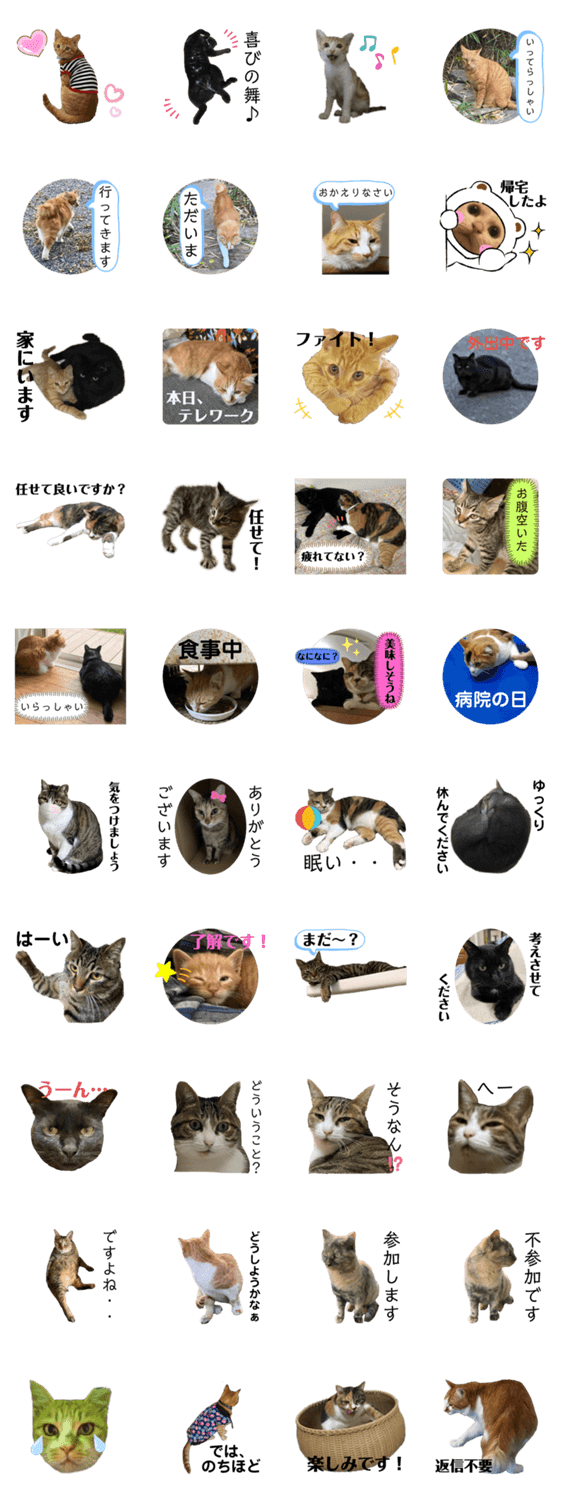 保護猫と地域猫と仲間達4」LINEクリエイターズスタンプ - stampList