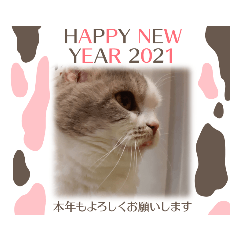 新年スタンプ猫　グレー、白