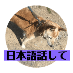 hANA_20201207002542