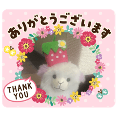 Yukari_20201207003231