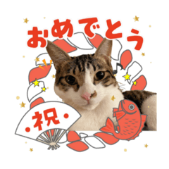 saori_20201206181359