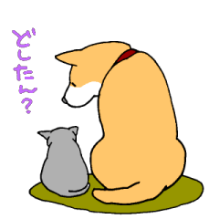 Close dog&cat Revise