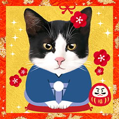 BIG Sticker New Year's card of cat!