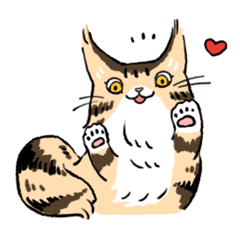 MaineCoon<Cat sticker>