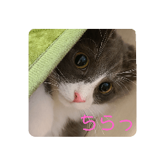 yamada_20201207101237