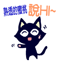 The black cat-A128