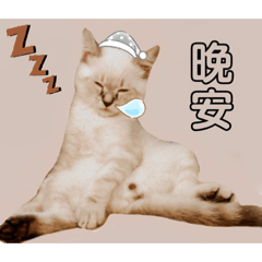 林氏古摸（特輯一）