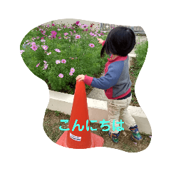 Matsu_20201207121827