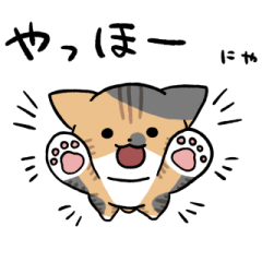 Calico tabby cat sticker2