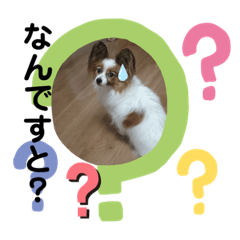 Michiko_20201207122710