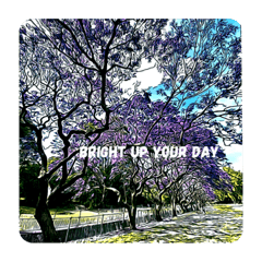 Jacaranda fever@TON@