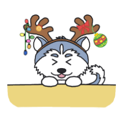 Holiday Cats and Dogs