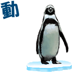 Moving penguin