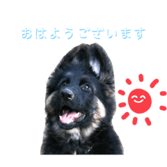 Hannah_20201207141353