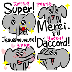 French. Small elephant reaction.