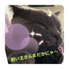 miki_20201206183613