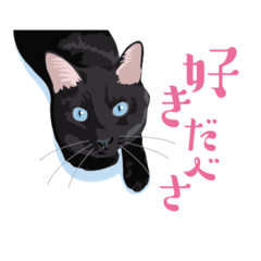 Black cat speaking Hokkaido dialects.