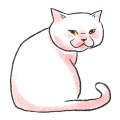 A super cute cat named steamed bread