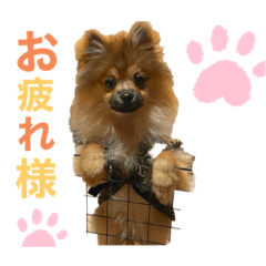 ayano_20201207222840