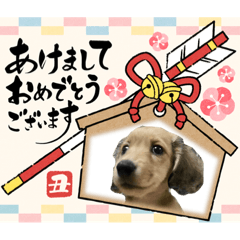 sherry_20201207223830