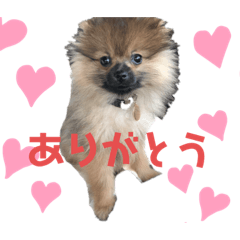 ayano_20201207230100