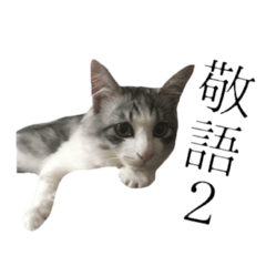 cat of cure Honorific expressions2