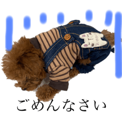 arisa_20201208074236