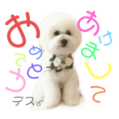 PANDA_20201207192139