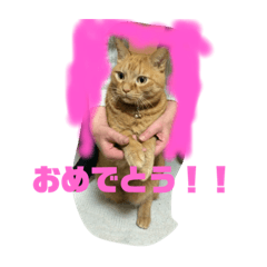 ryuki_20201207192553