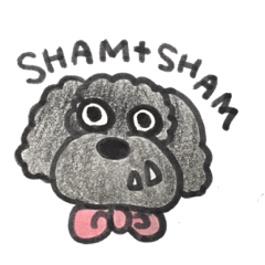SHAM+SHAM with Friends1