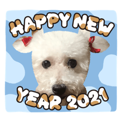 Akiko_20201208025600