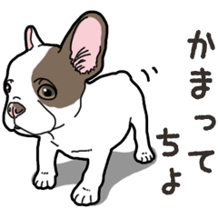 Wanko-Biyori French Bulldog 2