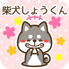 Shoukun became Black Shiba