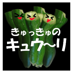 Fresh cucumber photo type