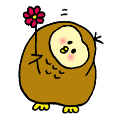 Mochi Owl