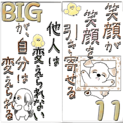 【Big】新シーズー犬11『悩んでいる人へ』