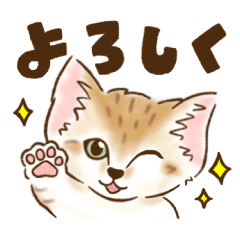 Wild cat "Sand cat" nasu animail kingdom