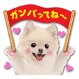 かわいい犬たち Line スタンプ Line Store かわいい犬たち Line スタンプ Line Store