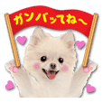 かわいい犬たち Line スタンプ Line Store