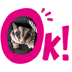 樂樂是女生part 3