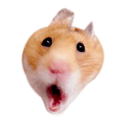 Genki Goko Ham-chan