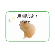 Hamster Kinako3