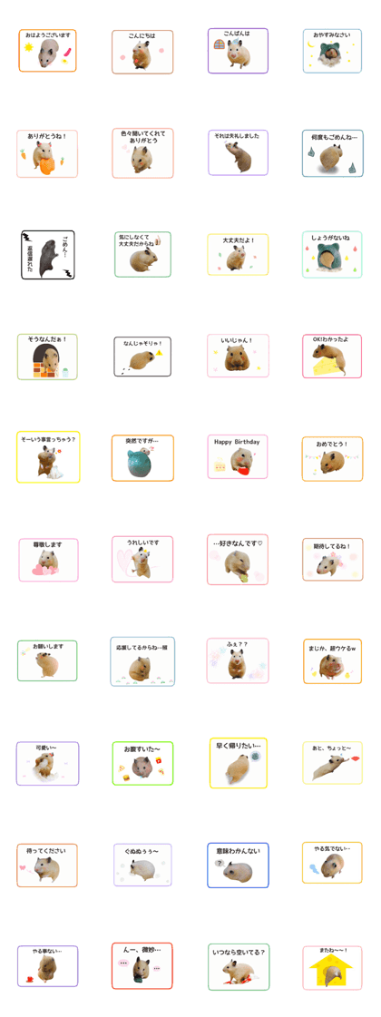 Hamster Kinako3